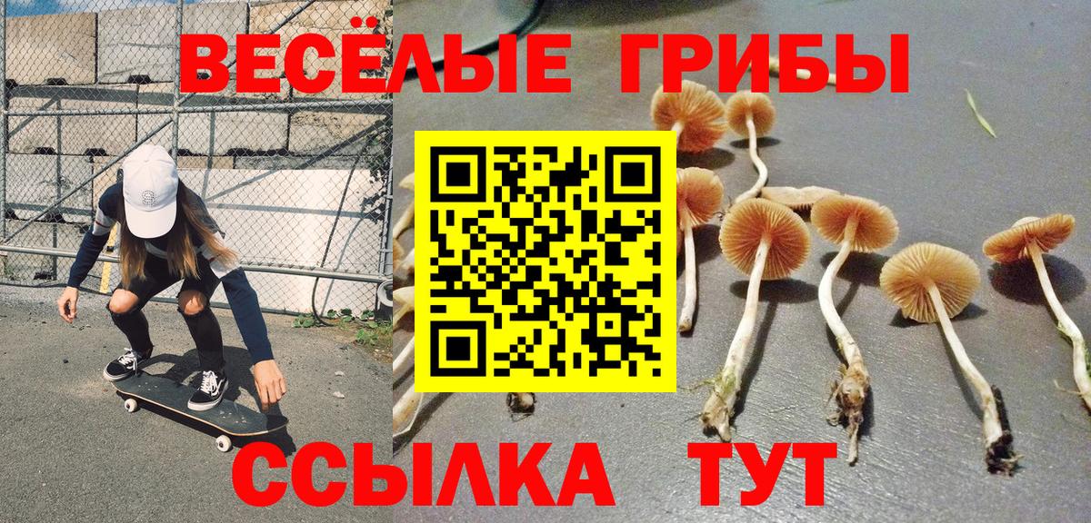 Псилоцибиновые грибы MAGIC MUSHROOMS Мурино